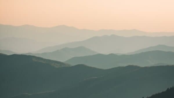 OpenAPI Schema Validation: Zero-Config API Security