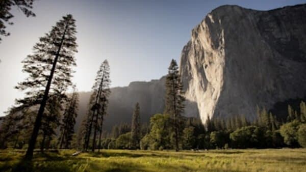 Prometheus Metrics: Production-Grade Observability